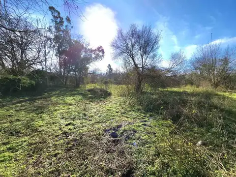 Terreno en Venta de 7100,0 m2