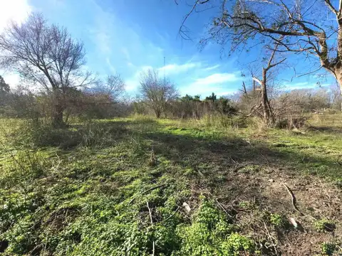San Roque 2600