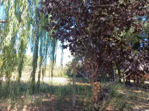 Terrada Cjon Los Teros lote 12 A 4500