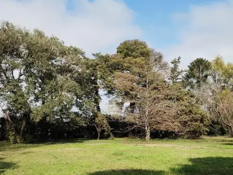 VENTA - GRAN LOTE EN SAN GREGORIO - PARQUIZADO