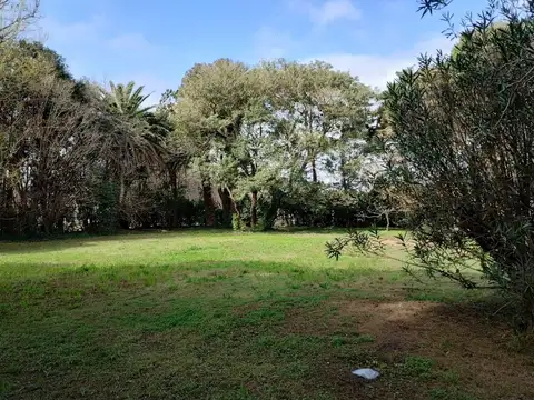 VENTA - GRAN LOTE EN SAN GREGORIO - PARQUIZADO