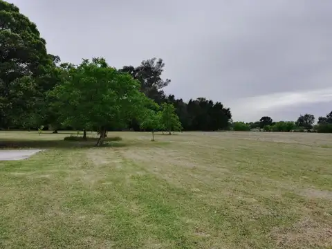 HECTÁREAS EN VENTA EN ARTURO SEGUI