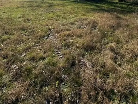 VENDIDOO!! LOS PINOS - LOS PINOS II 100