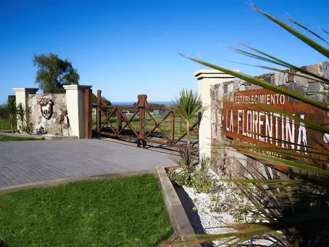 Ruta 3