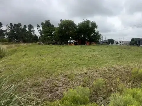 Camino Bertolotti 600