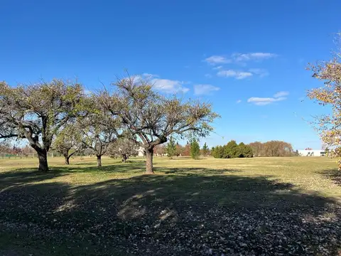 Chacras La Primavera Golf