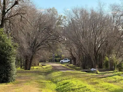 Las acacias lote F