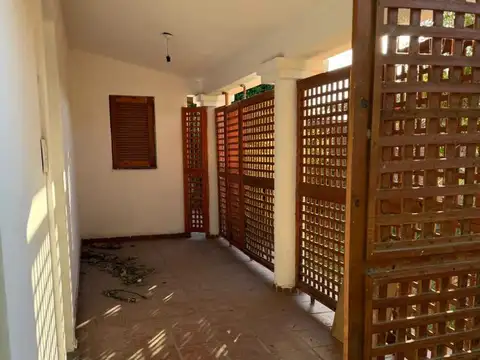 Del Campo 100