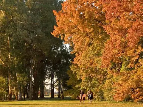 Terreno en Venta en Ezeiza, USD 55.000