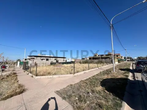 avenida champagnat 3000