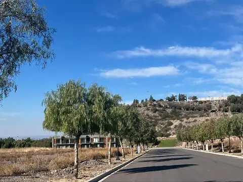 Hauser vende lote en Barrio Privado Dalvian