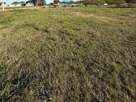 Terreno en Venta en Colonia Caroya, USD 30.000