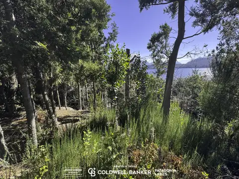 Terreno en Venta en Lago Correntoso, USD 450.000