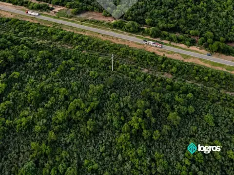 Campo en venta de 1595 ha de Monte | Ruta Nacional 81 | Embarcación | Salta