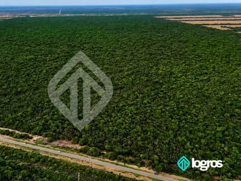 Campo en venta de 1595 ha de Monte | Ruta Nacional 81 | Embarcación | Salta
