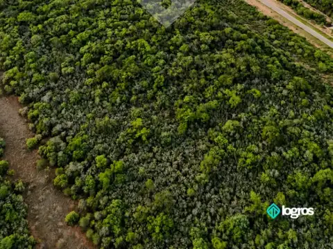 Ruta Nacional 81 100