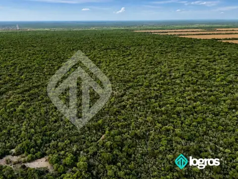 Campo en venta de 1595 ha de Monte | Ruta Nacional 81 | Embarcación | Salta