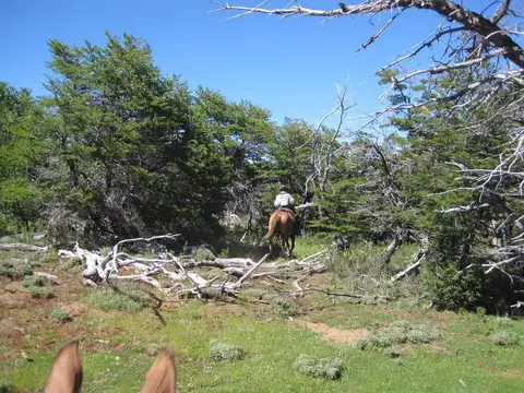 Campo en Cholila 1200ha - Zona El Cajon