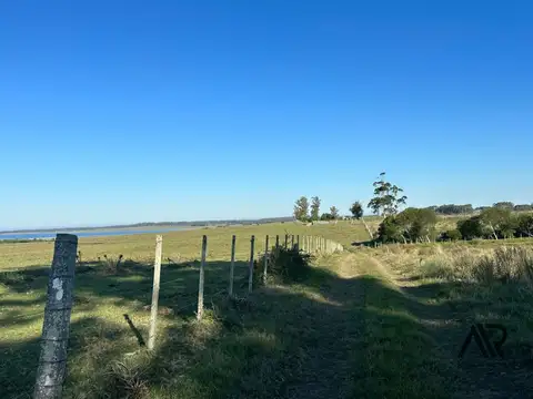 Chacra de 24,8 ha entre canchas de polo, y con vista a Laguna de José Ignacio.