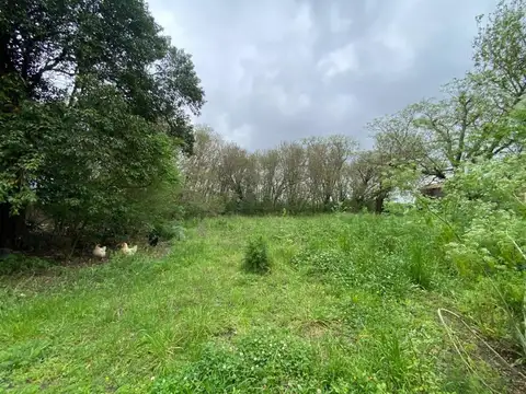 Terreno en Venta en Pueblo Muñoz, USD 24.000
