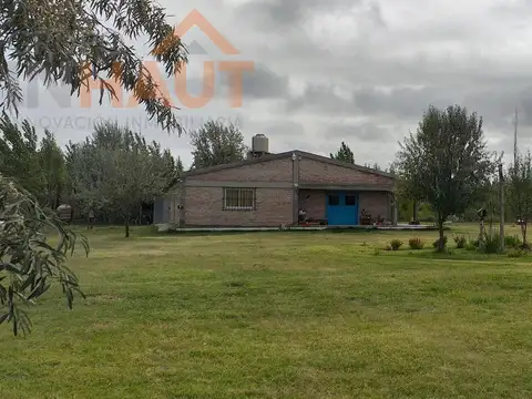 Chacra en  Cinco Saltos
