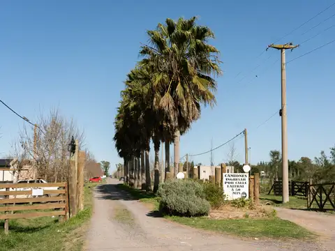 Terreno en Venta 40  mts Frente