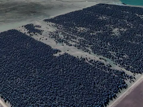 Campo en Ramon Santamarina