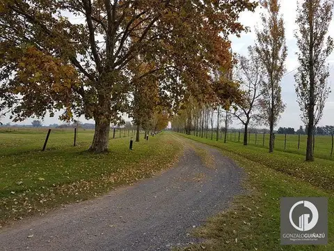 Campo terreno en venta Villa Amelia