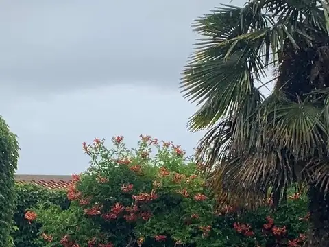 CASA EN VENTA TUNUYAN MENDOZA