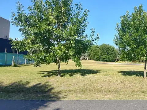 Terreno en venta en Altos de Campo Grande