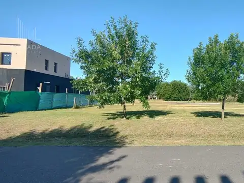 Altos Campo Grande