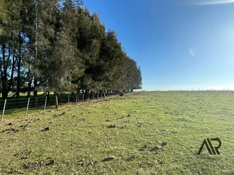Terreno en Venta en Colonia el Porvenir, USD 650.000