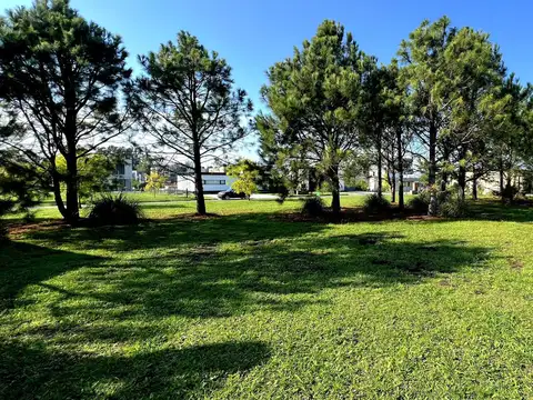 Venta Terreno Jorge Newbery   al 4500