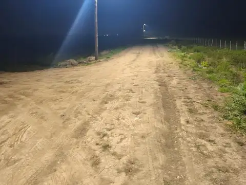 Campo de 84 hectares - ideal para desarrollo - zona norte de Buenos Aires
