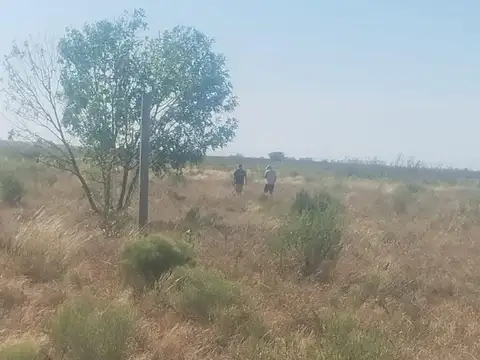 Campo de 84 hectares - ideal para desarrollo - zona norte de Buenos Aires