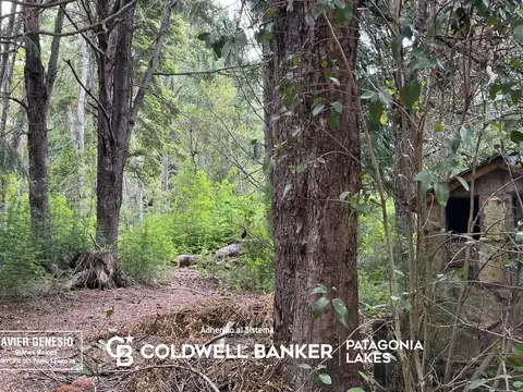 VENTA Lote | Terreno 3000m2 UF 4 Villa La Angostura Acceso al lago