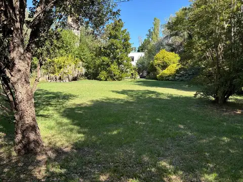 Barrio Boulevares 100