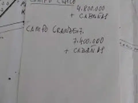 Campo en Venta de 700  ha