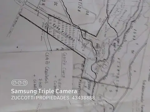 Campo en Venta Forestal