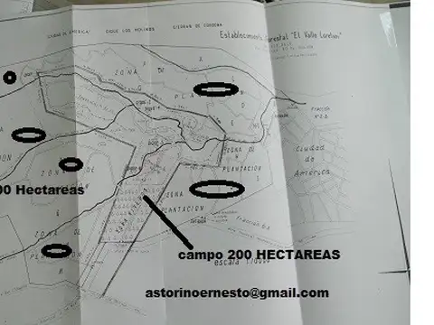 Campo en Venta de 700  ha