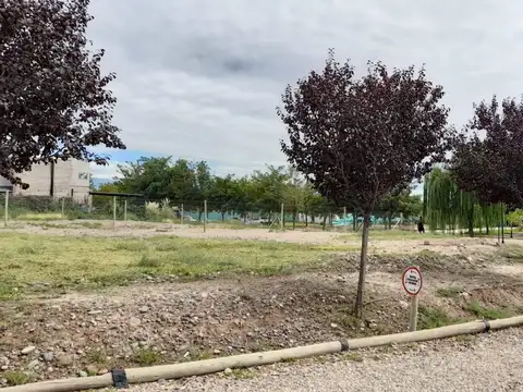 LICEO COUNTRY CLUB ETAPA IV, Vieytes