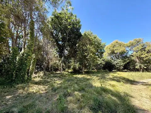 Terreno en Venta de 372,0 m2