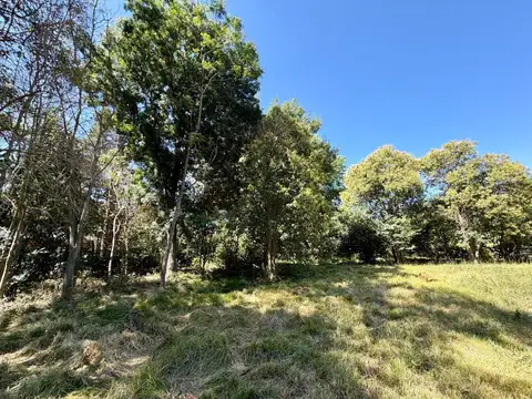 Lote en venta en Matheu   ID 5926