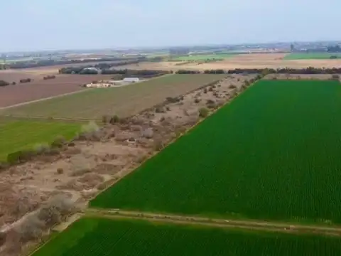 VENTA LOTE 61755 MTRS ESTACION FERREYRA  RUTA 9