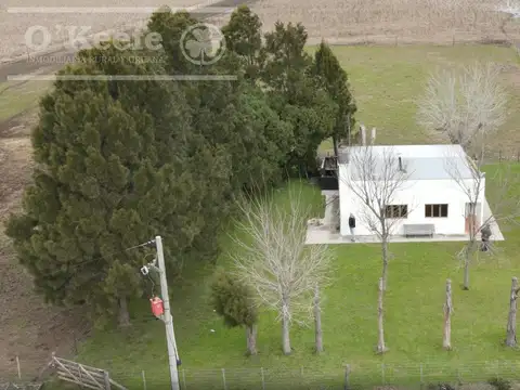 Campo en venta 175 has Chascomus