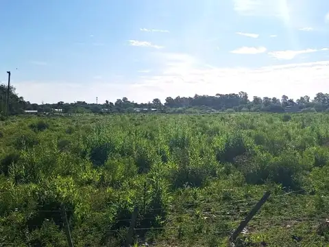 Terreno en Venta en Ministro Rivadavia, USD 80.000