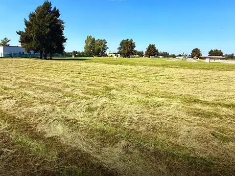 Terreno en Venta 47  mts Fondo