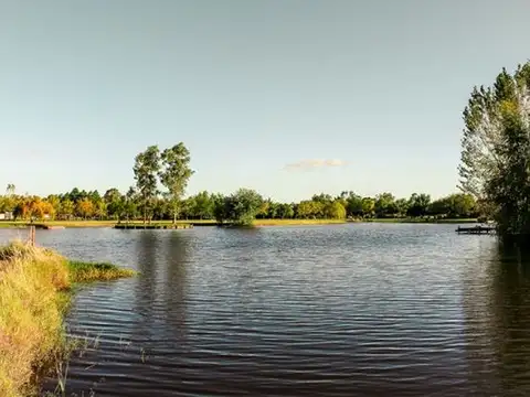 Terreno en Venta 32  mts Frente