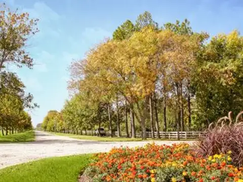 Terreno en Venta en Countries y Barrios Cerrados en San Vicente, USD 37.000