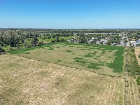 Terreno en Venta de 8000,0 m2